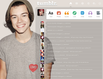 Harry Styles Dashboard Theme {3}