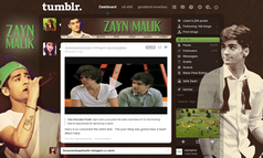 Zayn Malik - One Direction - Tumblr Theme