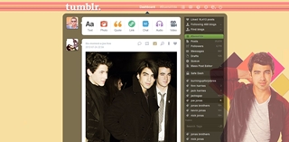 Joe Jonas dash theme (1600x900)