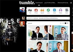Tumblr dashboard: Catwoman