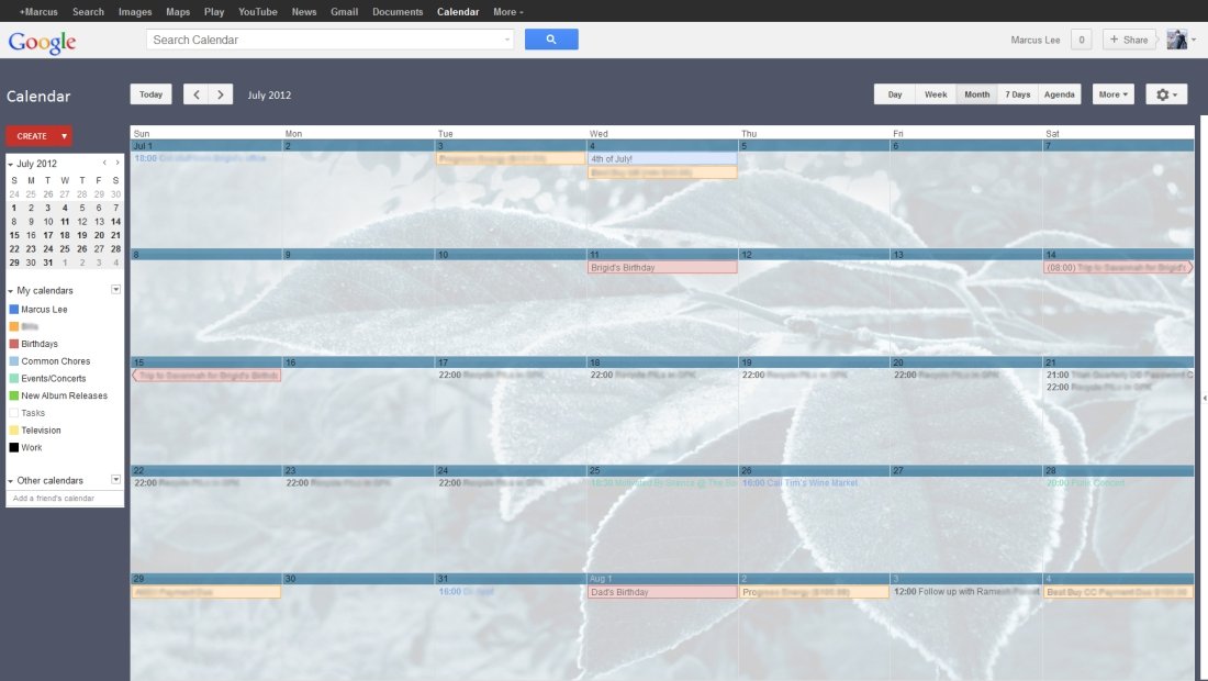 Google Calendar - Frosty Leaves Blue - 1980x