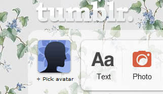 Blue Floral Tumblr Dash Theme