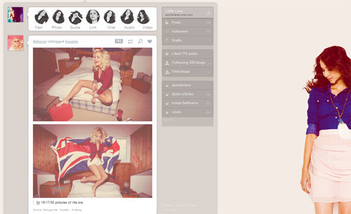 Troian Bellisario dashboard theme