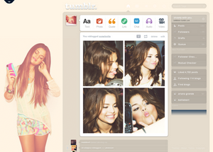 Selena Gomez Dashboard Theme (bellieberr) #1