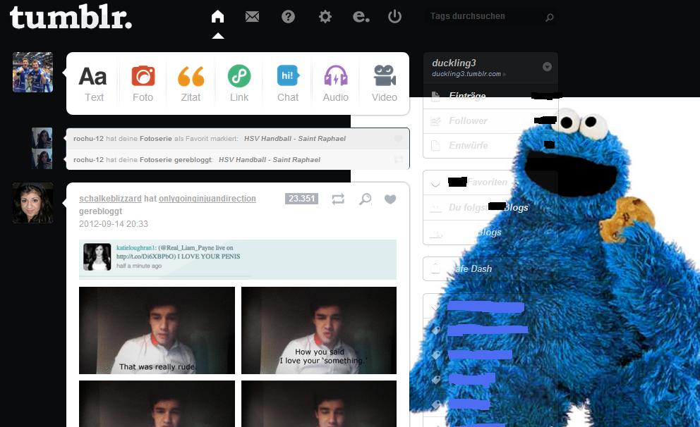 Tumblr - Cookiemonster