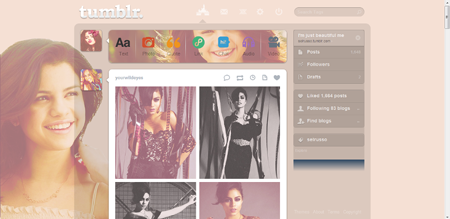 Selena Gomez Dashboard Theme by SelRusso