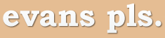 evans pls. tumblr logo