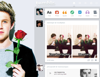 Niall Horan Dashboard Theme {5}