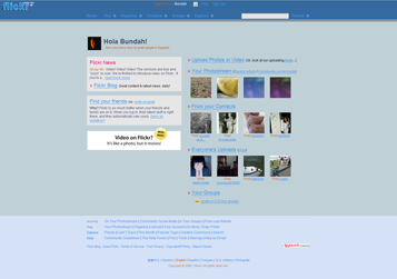 Flickr Themer - Shady Blue