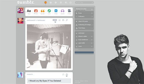 Liam Payne (fabulous 2012) dashboard