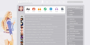DEMI LOVATO DASHBOARD THEME TUMBLR #1