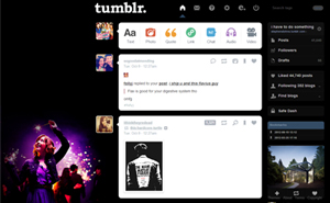Aislinn Paul Steal Your Heart Dashboard Theme