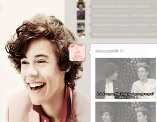 Harry Styles Dshboard Theme -