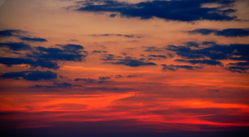 Sunset backround for tumblr dashboard
