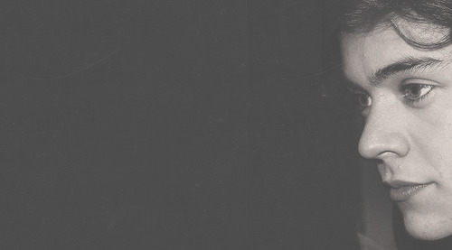 Harry Styles for tumblr dashboard