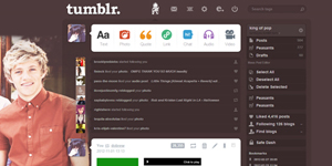 NIALL HORAN DASHBOARD THEME TUMBLR