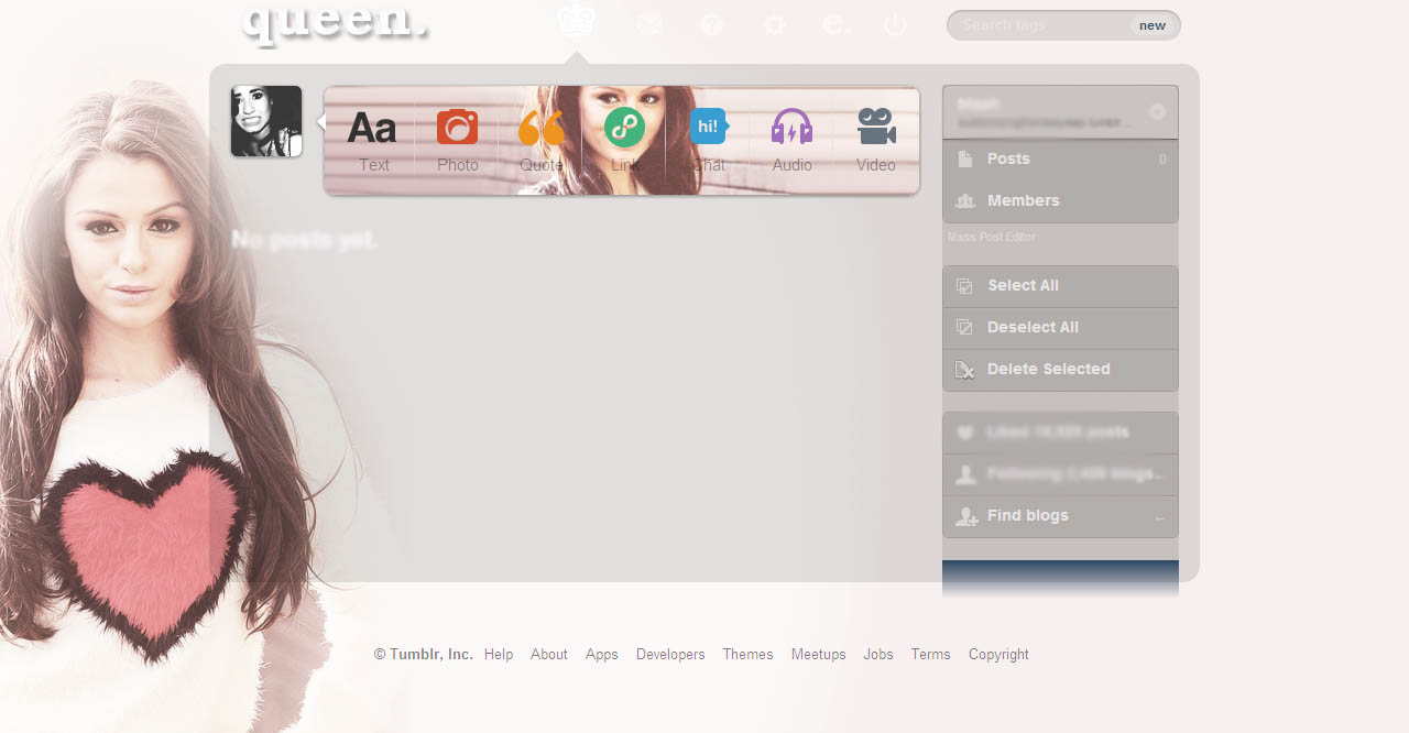cher lloyd's dashboard theme