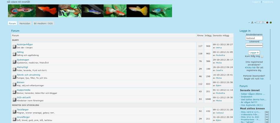 Svenska guppysällskapet - Forum: Skin