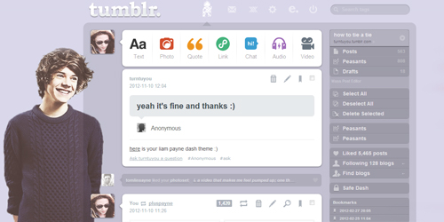 HARRY STYLES DASHBOARD THEME TUMBLR