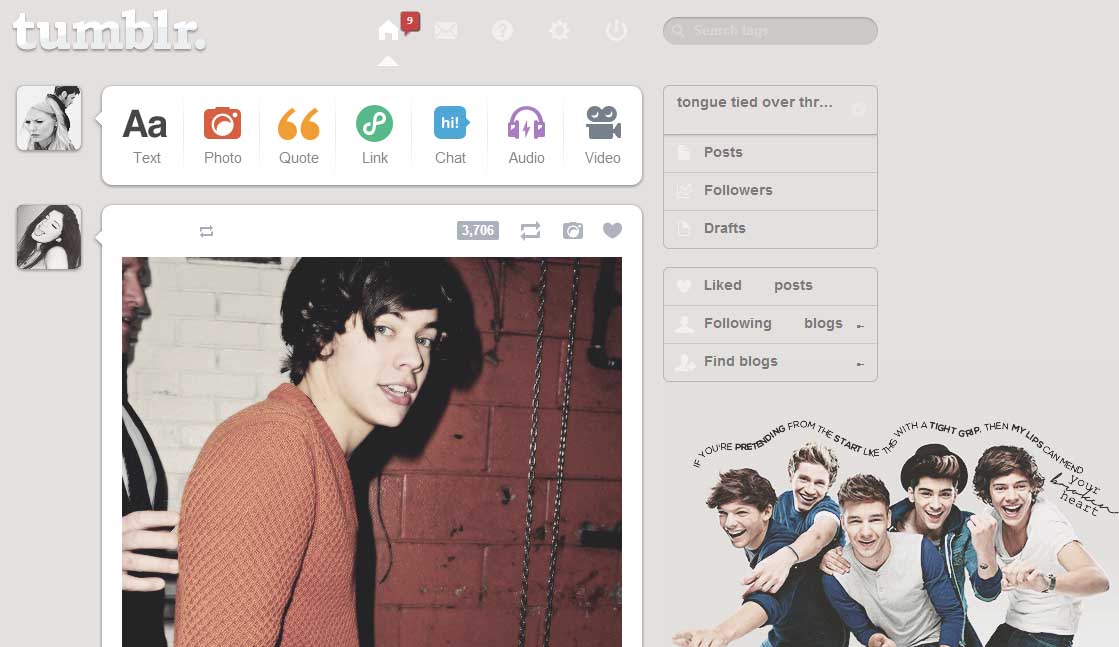 One Direction Seventeen Dashboard Theme