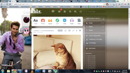 James Maslow - Tumblr Theme #4