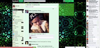 Space & Cheetah Print Facebook Theme