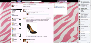 Pink Zebra Print Facebook Theme