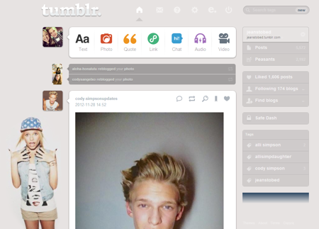 Alli Simpson Tumblr Dashboard Theme - #3