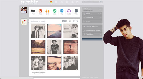 Zayn Malik dashboard (1)