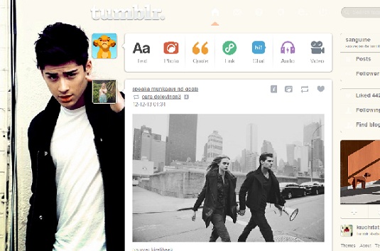 Zayn Malik dashboard 1