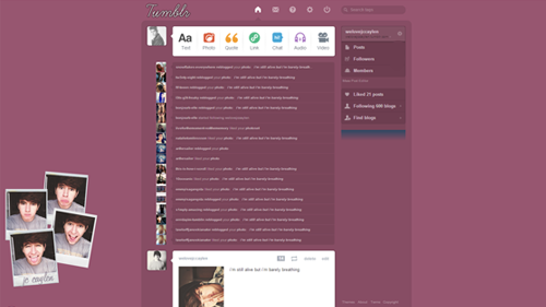 jc caylen dashboard 4