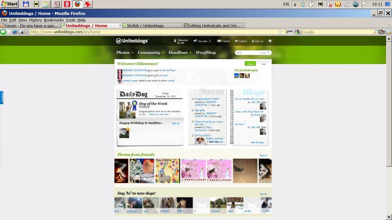 Unitedcats and Uniteddogs hide home page ads