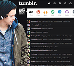 Harry Dashboard Theme #1