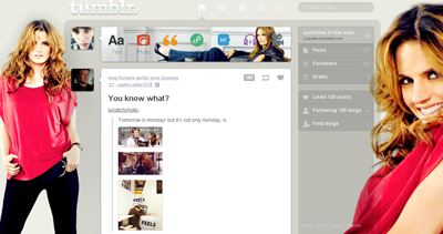 Stana Katic Dashboard Theme