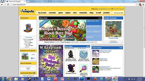 Neopets Ad Blocker