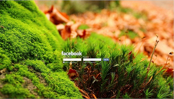The Beauty of Nature