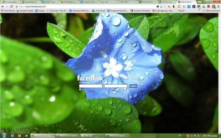 Blue Flower Facebook Login Page