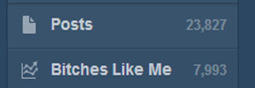 Bitches Like Me Followers Button