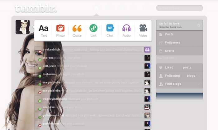 22* demi lovato theme dashboard tumblr