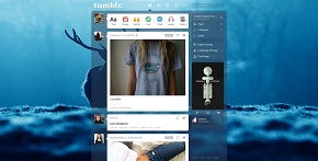 Calm Blue Reindeer Tumblr Dashboard Background