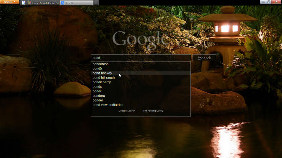 Google Search Home Page: Pond