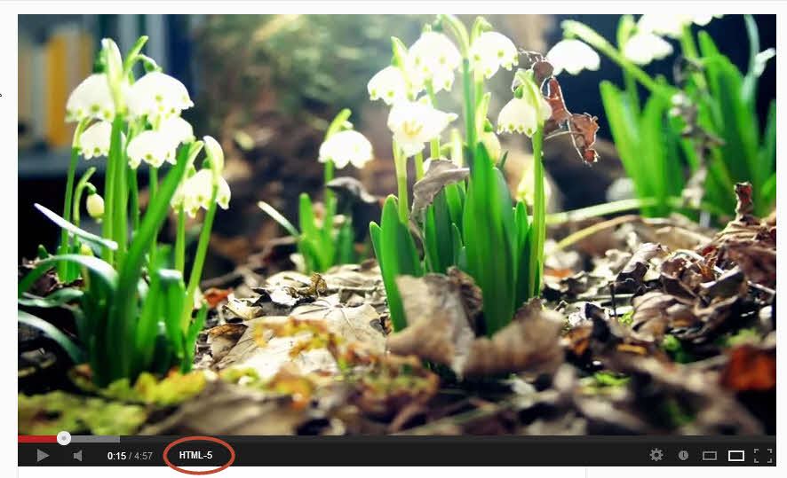 YouTube identify flash vs html5