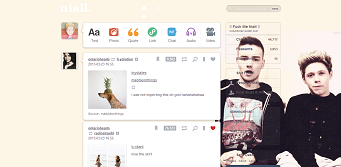 Niall Horan & Liam Payne (Niam)