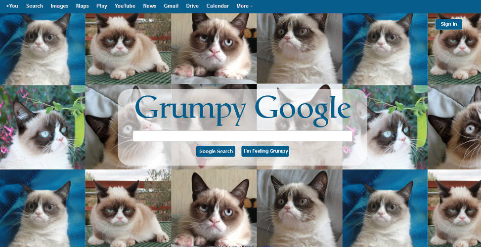 Grumpy Cat Google