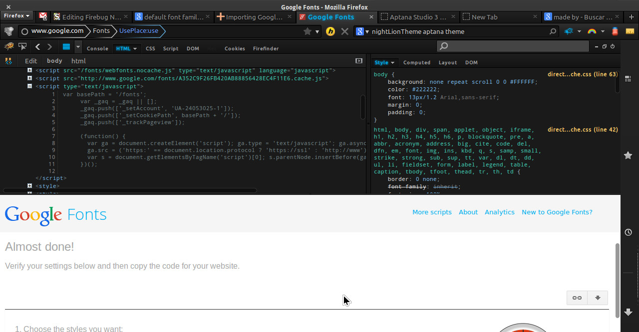 Firebug NightLionTheme