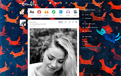 Dashboard Theme Nr. 3 - Wirrow flight of the foxes