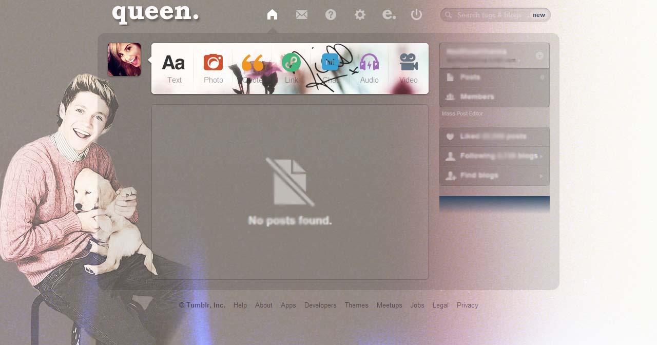 niall horan with puppy dashboard theme