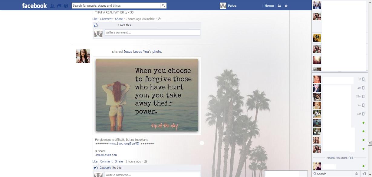 Facebook Palm Trees Theme