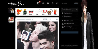 Harry Styles - Tumblr dashboard theme