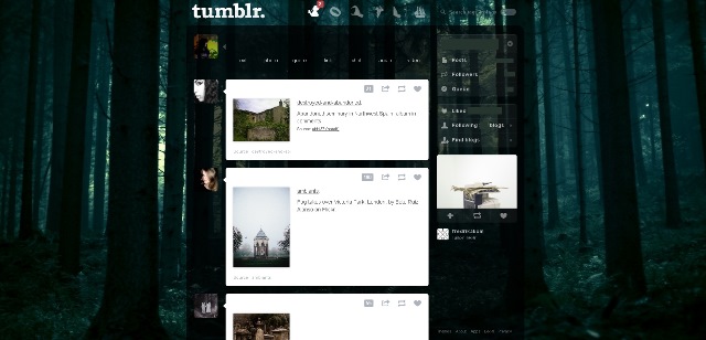 Dark forest dashboard theme Tumblr